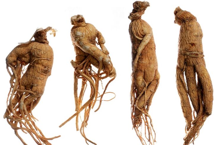 Raíz de ginseng para aumentar o pene